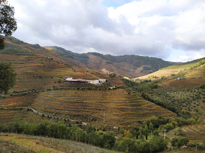 Quinta do Colmeal (Vinhos Quinta da Deserta e Deserta)